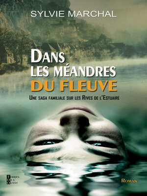 cover image of Dans les méandres du fleuve